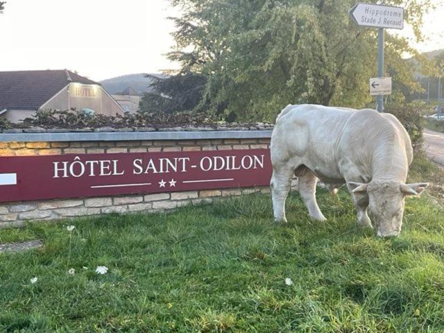 Hotel Saint Odilon كلوني المظهر الخارجي الصورة